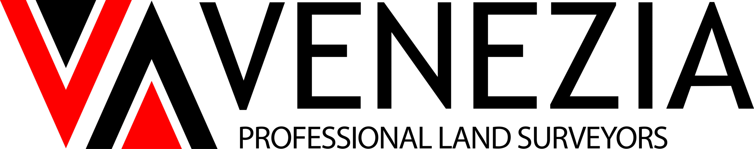 Venezia & Associates Logo